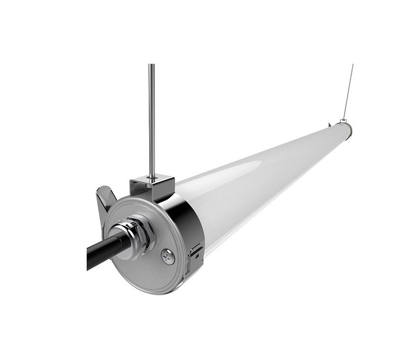 The Quiet Shift in Barn Light: How Cow Lighting Rewires Dairy Productivity